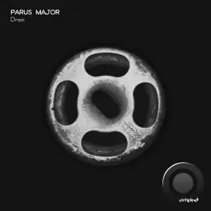  Parus Major - Drain (2024) 