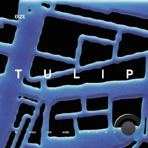  ÐIZE - Tulip (2024) 