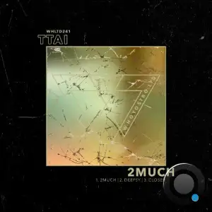  TTAI - 2Much (2024) 