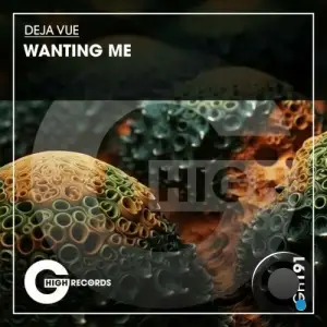  Deja Vue - Wanting Me (2024) 