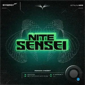  Vincent Romain - Nite Sensei (2024) 