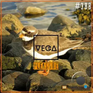  Vega Z - Pleasure 388 (2024-07-17) 