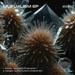  Nøwam - Mutualism (2024) 