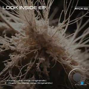  Cívaro - Look Inside (2024) 