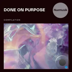  Roododisco - Done on Purpose (2024) 