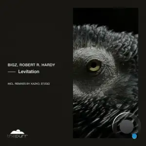  BiGz with Robert R. Hardy - Levitation (2024) 