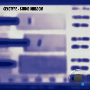  Genotype - Studio Kingdom (2024) 