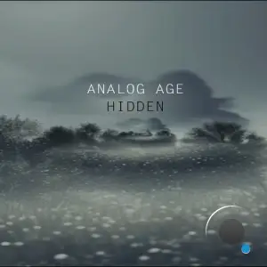  Analog Age - Hidden (2024) 