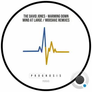  The David Jones - Warming Down (2024) 