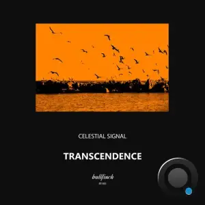  Celestial Signal - Transcendence (2024) 