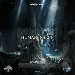  Human Insect - Exoplanet (2024) 