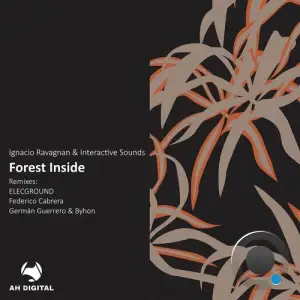  Ignacio Ravagnan & Interactive Sounds - Forest Inside (2024) 