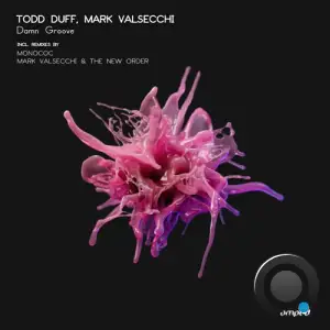  Todd Duff & Mark Valsecchi - Damn Groove (2024) 