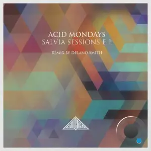  Acid Mondays - Salvia Sessions (2024) 