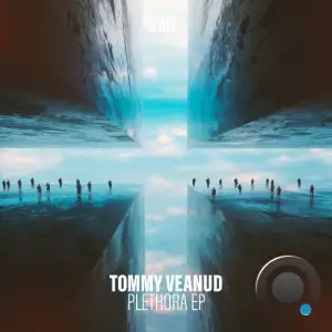  Tommy Veanud - Plethora (2024) 