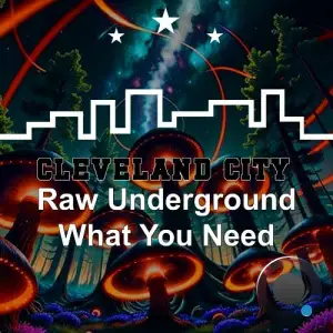  Raw Underground - What You Need (2024) 