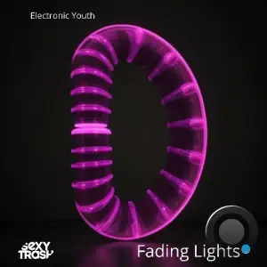  Electronic Youth - Fading Lights (2024) 