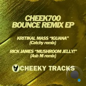  Kritikal Mass & Rick James - Bounce Remix (2024) 