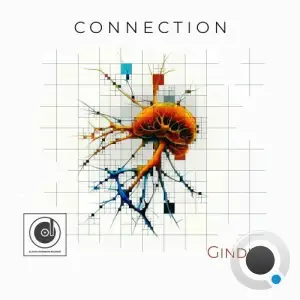  Gindi - Connection (2024) 