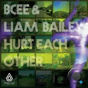  BCee & Liam Bailey - Hurt Each Other (2024) 