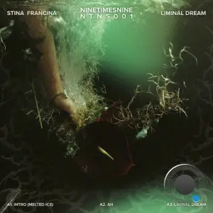  Stina Francina - Liminal Dream (2024) 