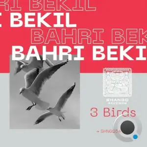  Bahri Bekil - 3 Birds (2024) 