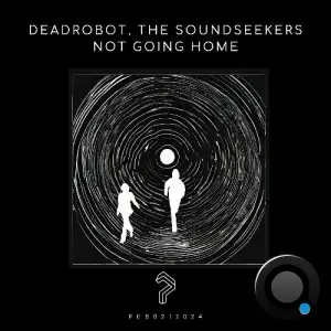  DeadRobot & The Soundseekers - Not Going Home (2024) 