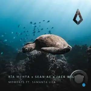  Ria Mehta with Sean Ae & Jack Willard ft Samanta Liza - Moments (2024) 