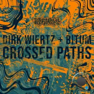  Dirk Wiertz x Bitum - Crossed Paths (2024) 