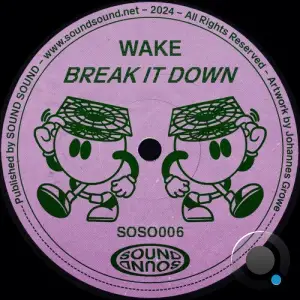  Wake UK - Break It Down (2024) 