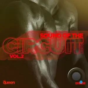  Sound of the Circuit 2024, Vol. 2 (2024) 