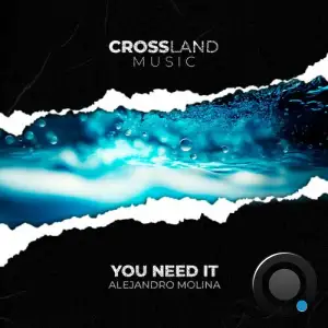  Alejandro Molina - You Need It (2024) 