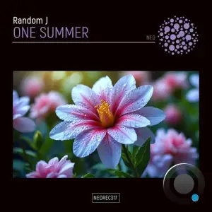  Random J - One Summer (2024) 