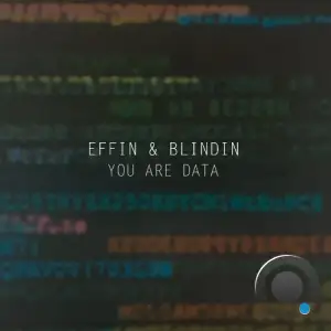  Effin & Blindin - You Are Data (2024) 