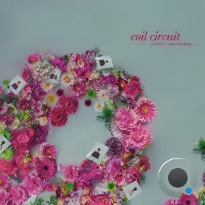  Coil Circuit - Not Fair / Surroundings (2024) 