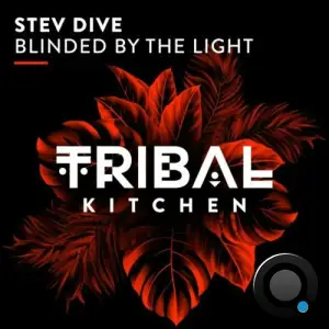  Stev Dive - Blinded by the Light (2024) 