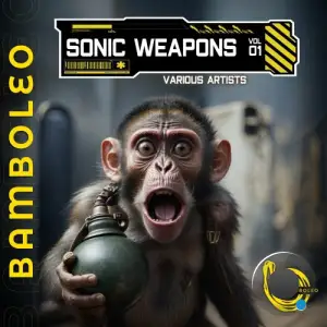  Sonic Weapons, Vol. 1 (2024) 