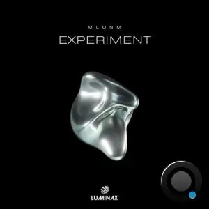  MLUNM - Experiment (2024) 