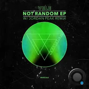  Vele - Not Random (with Jordan Peak Remix) (2024) 