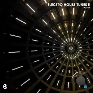  Electro House Tunes II (2024) 