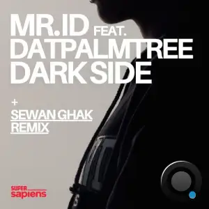  Mr. ID ft Datpalmtree - Dark Side (2024) 