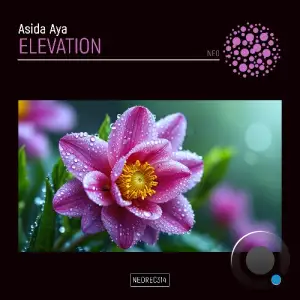  Asida Aya - Elevation (2024) 