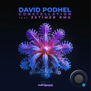  David Podhel - Constellation (2024) 