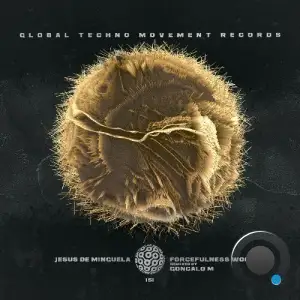  Jesus De Minguela - Forcefullness Woods (2024) 