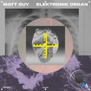  Matt Guy - Elektronik Organ (2024) 