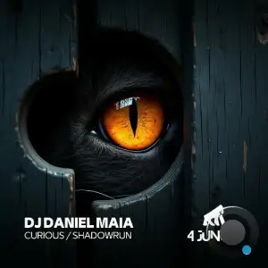  DJ Daniel Maia - Curious / Shadowrun (2024) 