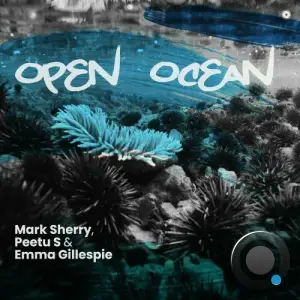  Mark Sherry with Peetu S & Emma Gillespie - Open Ocean (2024) 