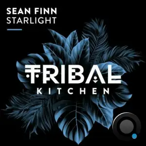  Sean Finn - Starlight (2024) 