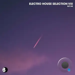  Electro House Selection Viii (2024) 