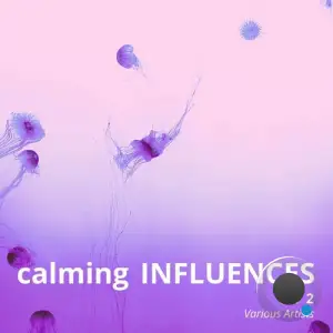  Calming Influences, Vol. 2 (2024) 